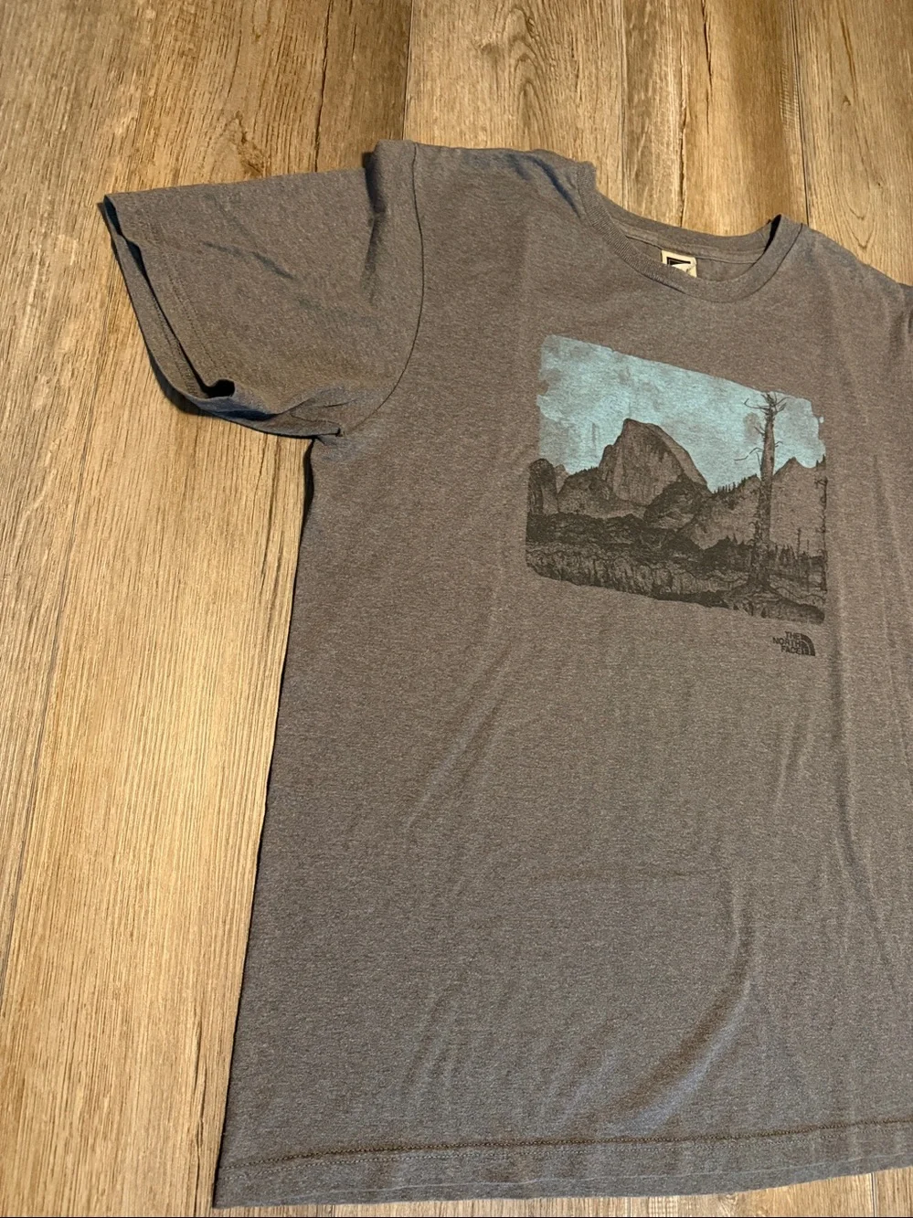 The North Face Men's Heather Gray Scenic Graphic Short-Sleeve Tee